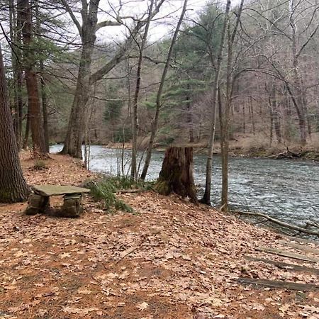 Pine Creek Motel & Campsites Gaines Bagian luar foto