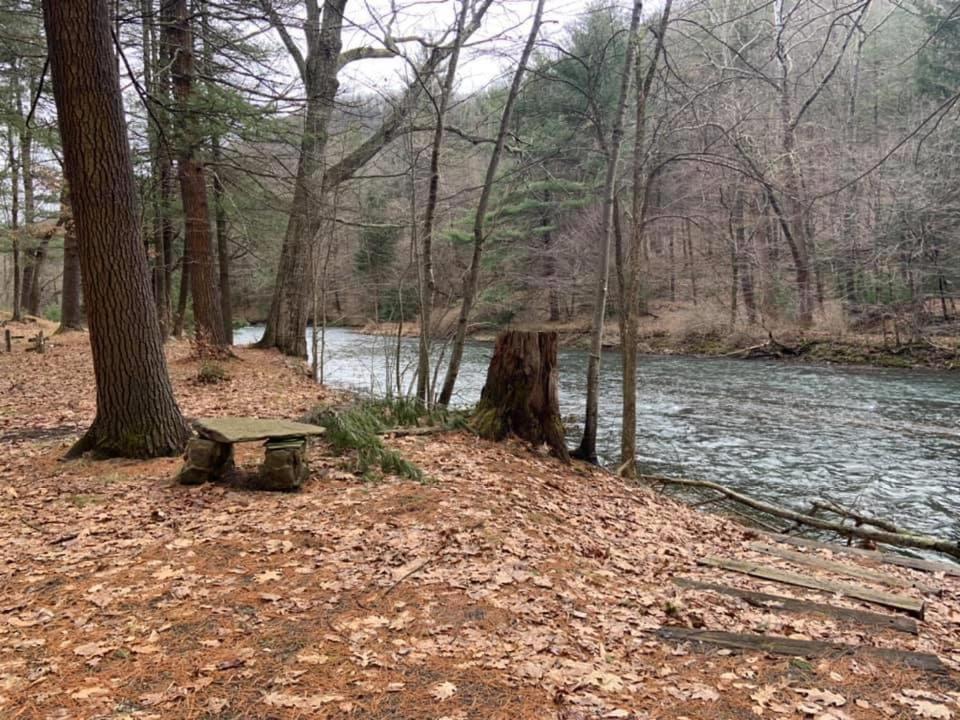 Pine Creek Motel & Campsites Gaines Bagian luar foto