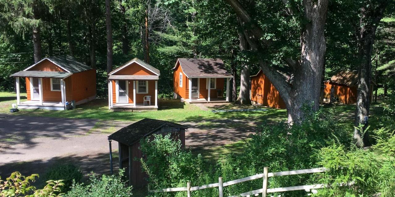 Pine Creek Motel & Campsites Gaines Bagian luar foto